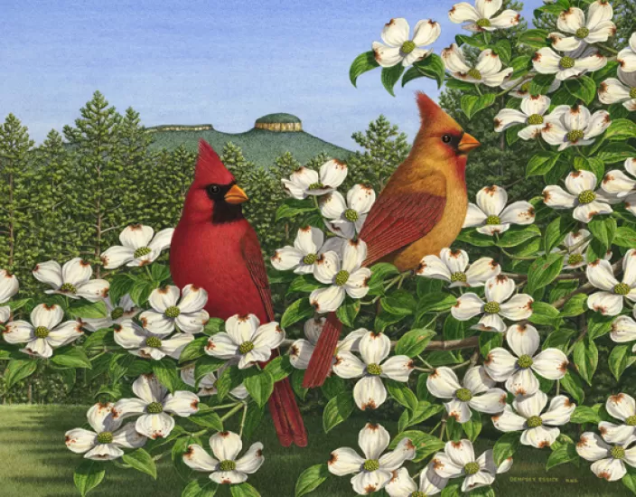 Heritage Puzzle Bird Puzzles*Carolina Calling Puzzle