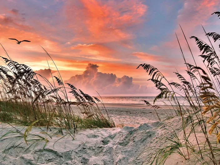 Heritage Puzzle Beach Puzzles*Dancing Sea Oats Puzzle