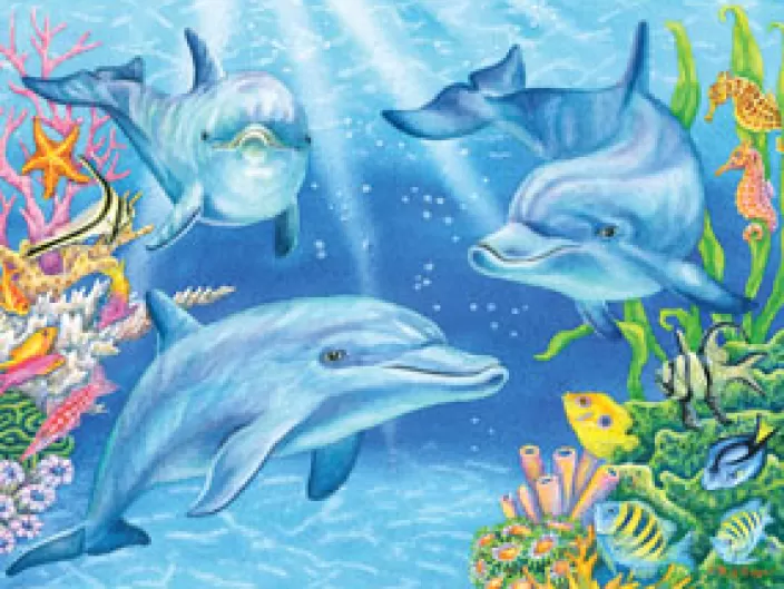 Heritage Puzzle Beach Puzzles*Dolphin Cove Puzzle