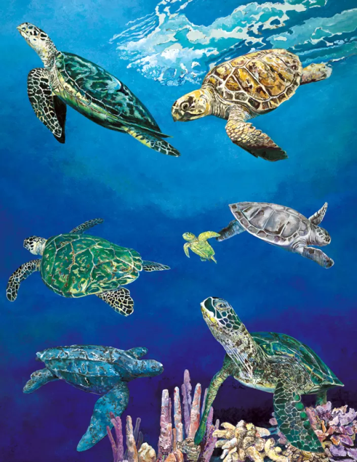 Heritage Puzzle Coastal Puzzles*Majestic Sea Turtles