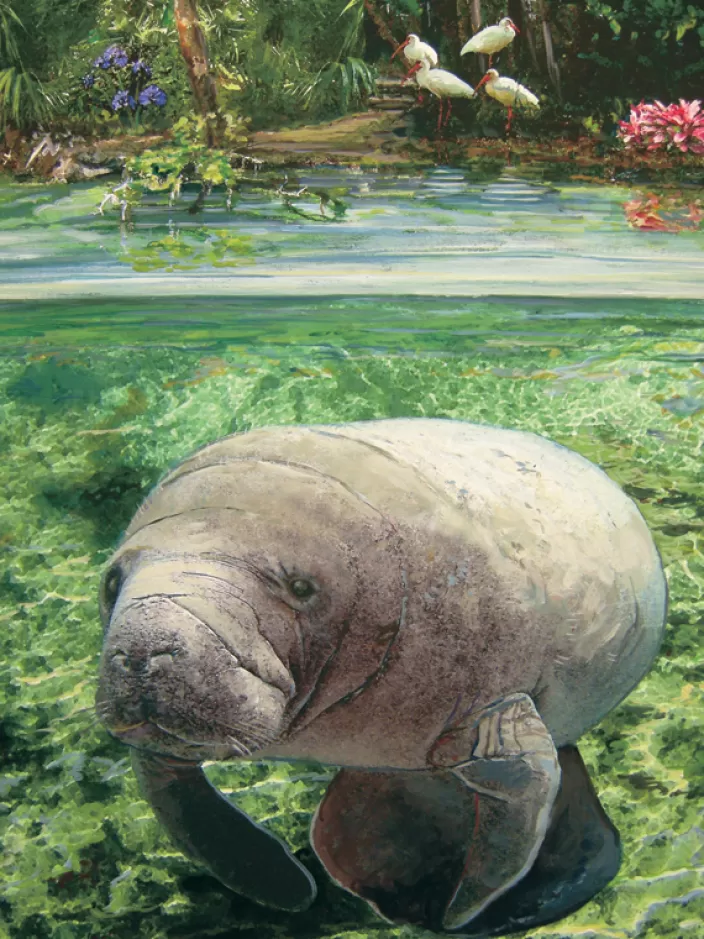 Heritage Puzzle Coastal Puzzles*Manatee Puzzle