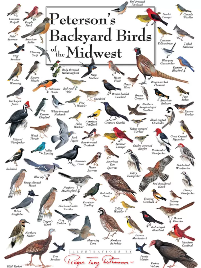 Heritage Puzzle Bird Puzzles*Peterson'S Backyard Birds Of The Midwest